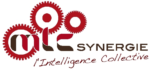 Des formations autour de l'Intelligence Collective